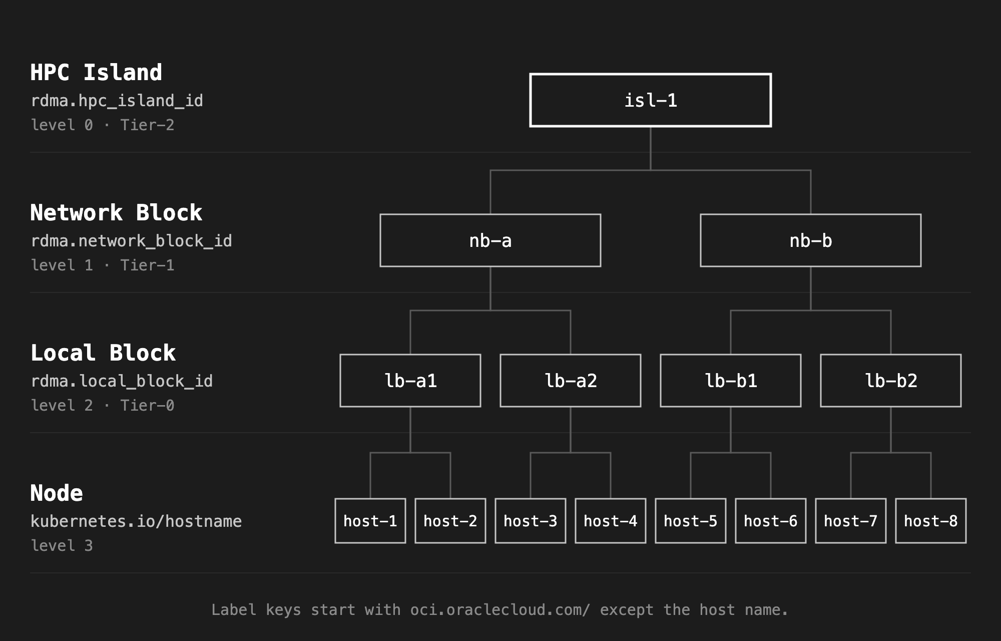 The RDMA topology of the test cluster as Kueue levels